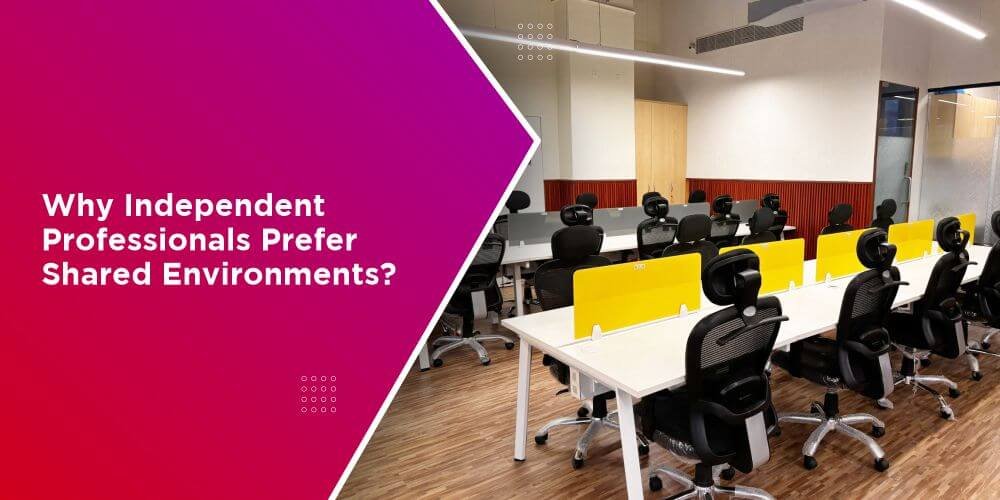 independent professionals prefer shared environments