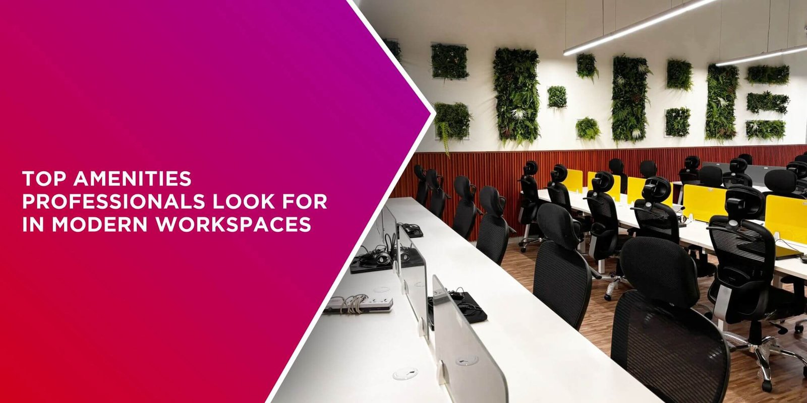 Top Amenities Professionals Look for in Modern Workspaces